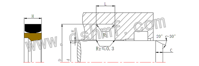 DMSS-軸用重載斯特封的密封件規(guī)格型號(hào)型號(hào)規(guī)格