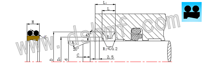 雙O組合防塵圈 Scrapers - DPE切面平面圖.jpg