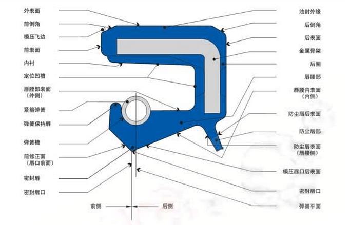 內(nèi)包骨架油封各部位主要名稱和術(shù)語(yǔ)圖