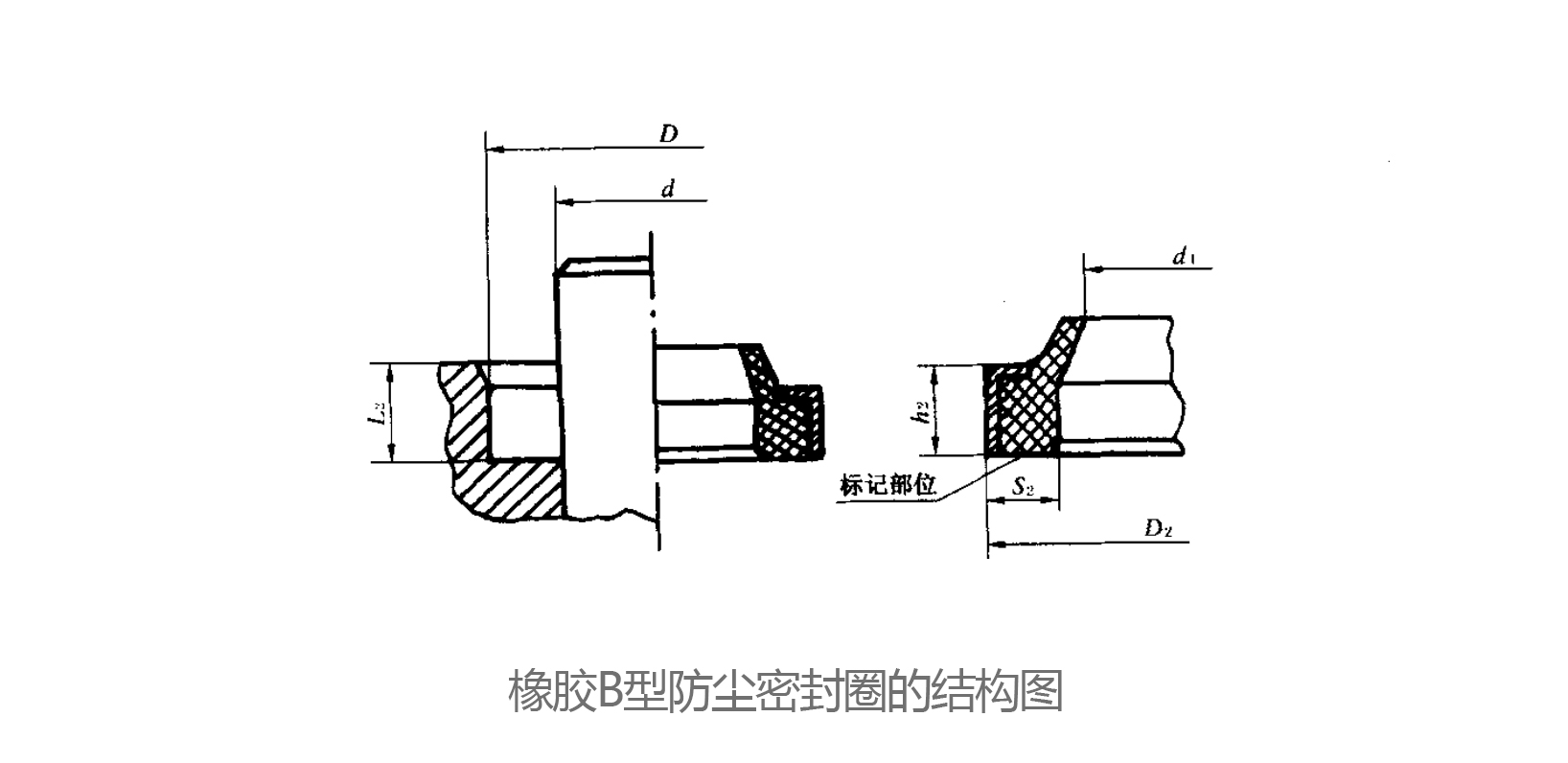 橡膠B型防塵密封圈的結(jié)構(gòu)圖