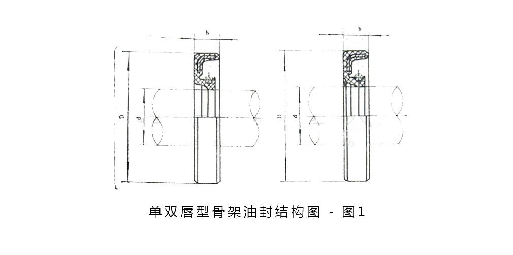 單雙唇油封標(biāo)準(zhǔn)尺寸結(jié)構(gòu)圖