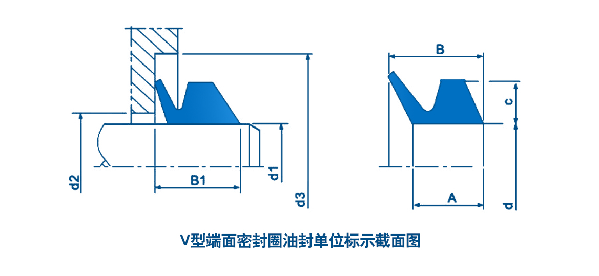 V型端面密封圈油封單位標(biāo)示截面圖