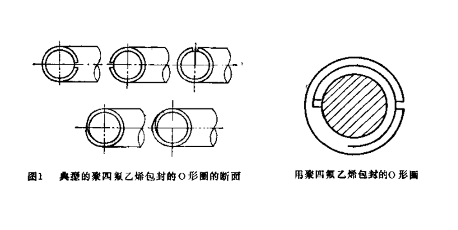 典型的聚四氟乙烯包覆O型密封圈結(jié)構(gòu)圖