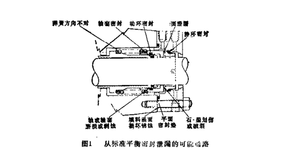 標(biāo)準(zhǔn)平衡密封件泄漏的可能通路結(jié)構(gòu)圖