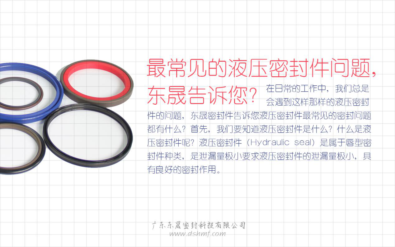 （二）液壓密封件的常見(jiàn)問(wèn)題解答？