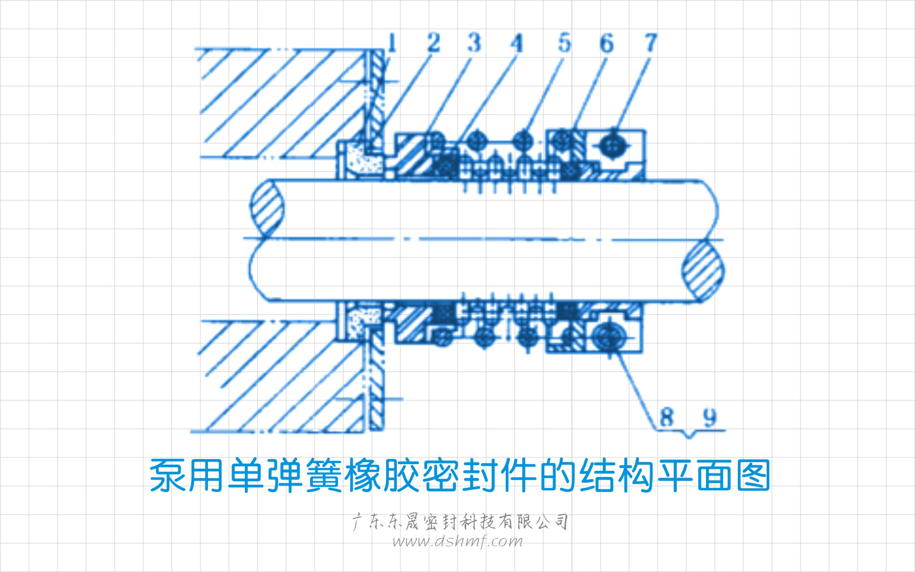 泵用單彈簧橡膠密封件的結(jié)構(gòu)平面圖