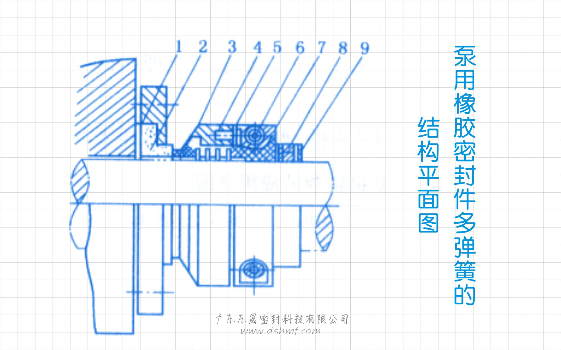 泵用橡膠密封件多彈簧的結(jié)構平面圖