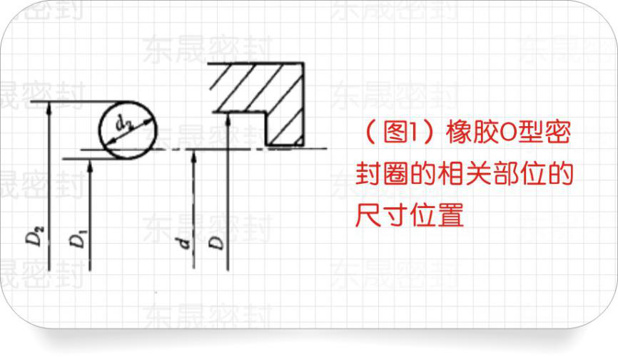 我們不難看出O型橡膠密封圈的與相關(guān)部位的尺寸位置