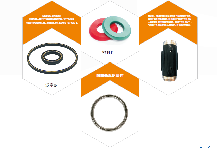 【石油&天然氣密封件】—金色彈簧泛塞封PTA