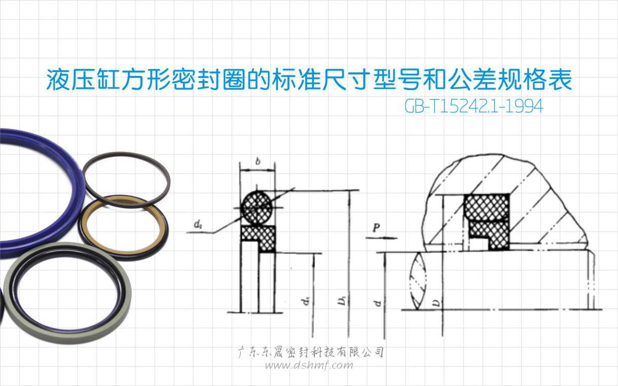 常規(guī)標(biāo)準(zhǔn)液壓缸活塞方型同軸密封件